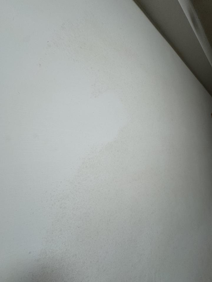 除霉案件圖片