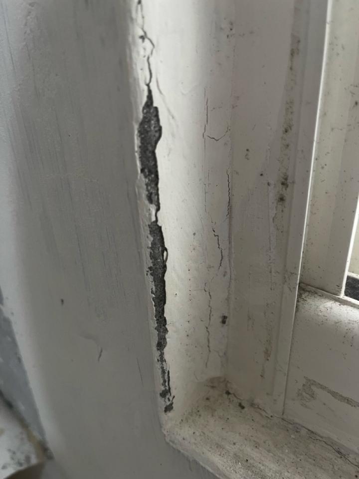 壁紙清除案件圖片 壁紙清除案件圖片