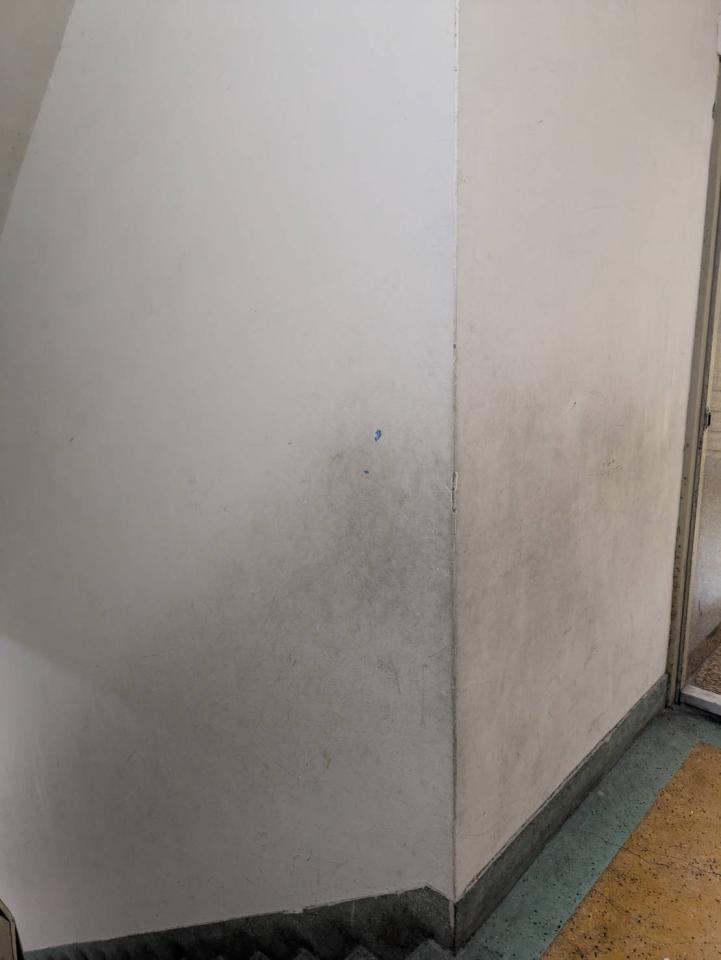 油漆工程案件圖片