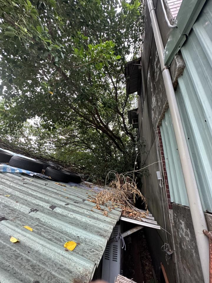 園藝維護案件圖片 園藝維護案件圖片