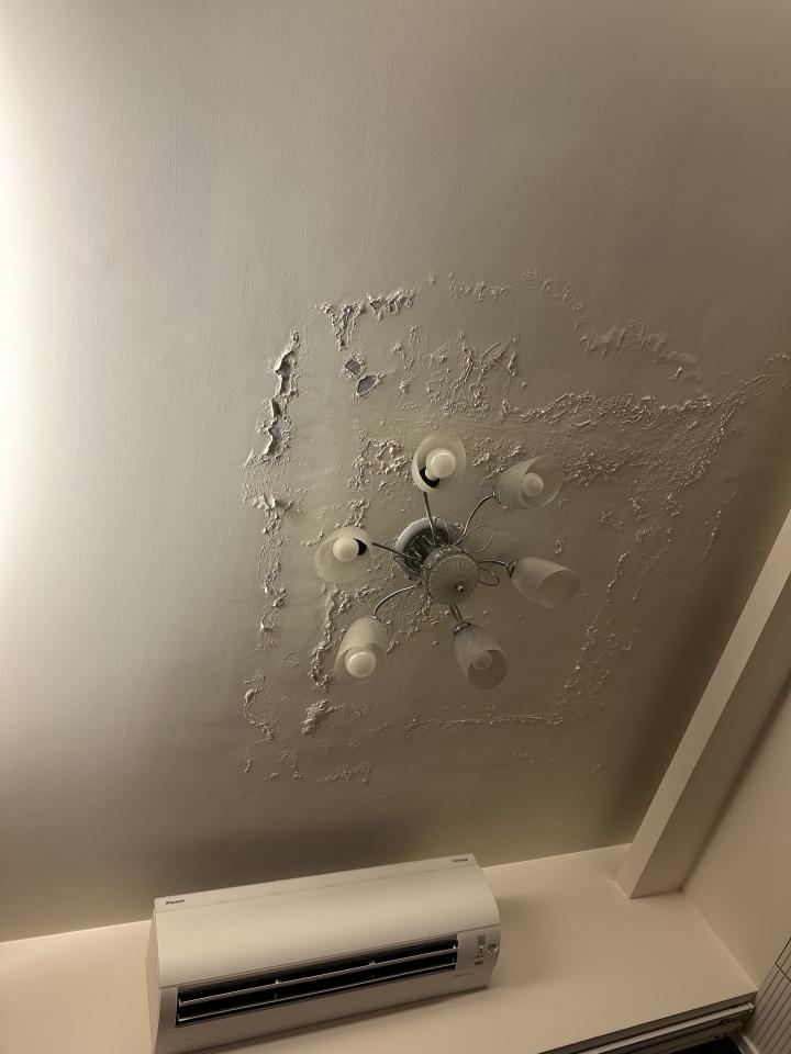 油漆工程案件圖片