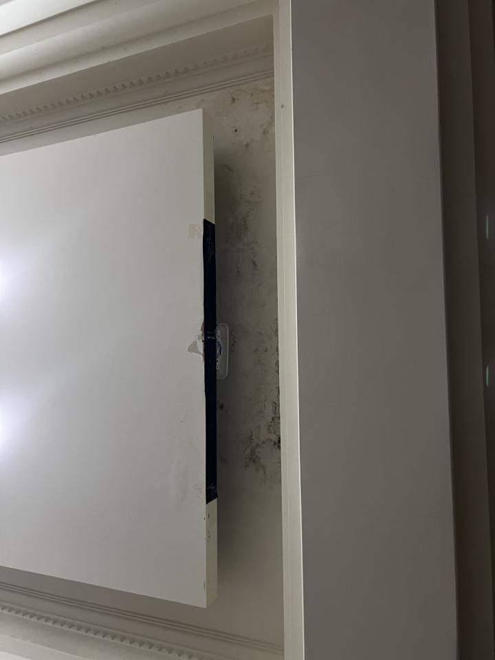 抓漏案件圖片 抓漏案件圖片