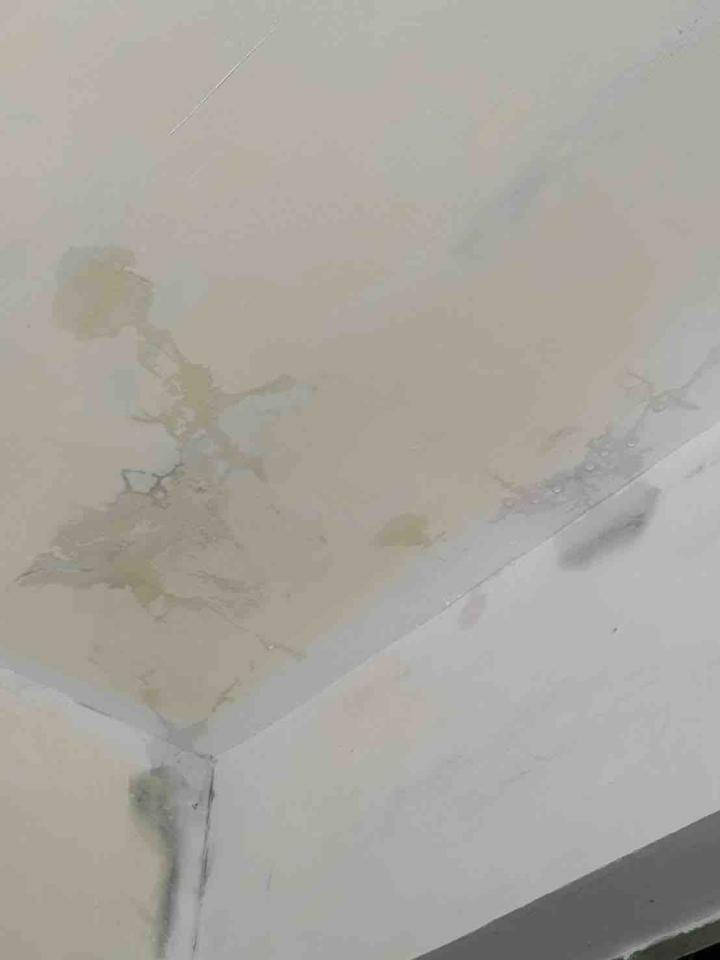 漏水處理案件圖片 漏水處理案件圖片