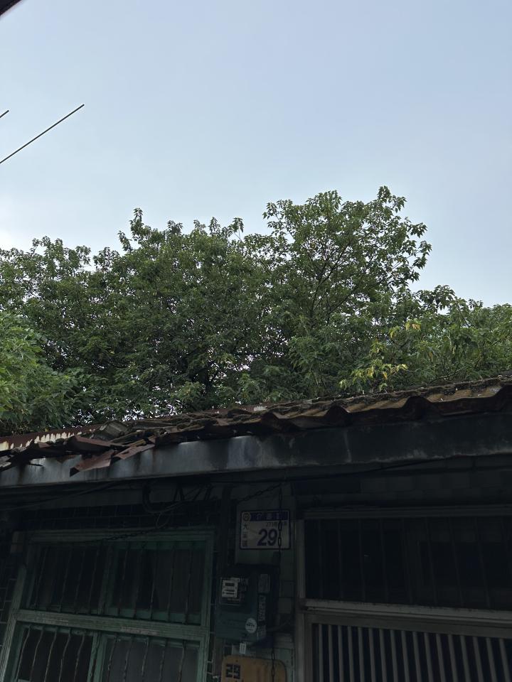園藝維護案件圖片 園藝維護案件圖片