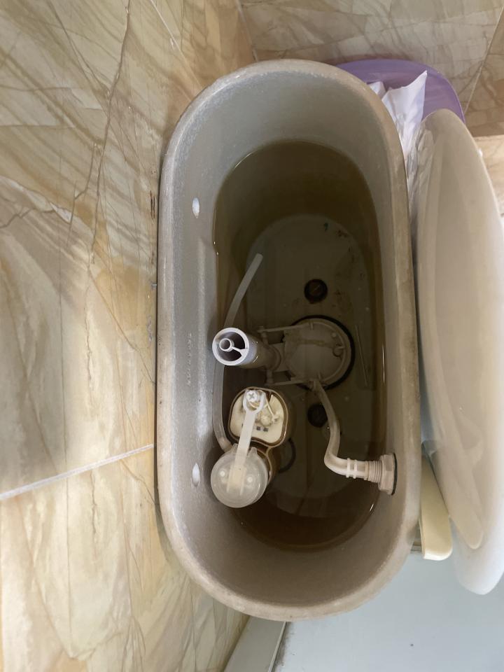 馬桶裝修案件圖片