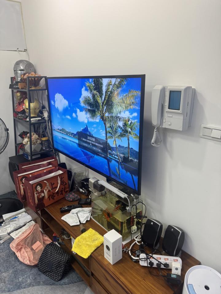 電視壁掛架安裝案件圖片