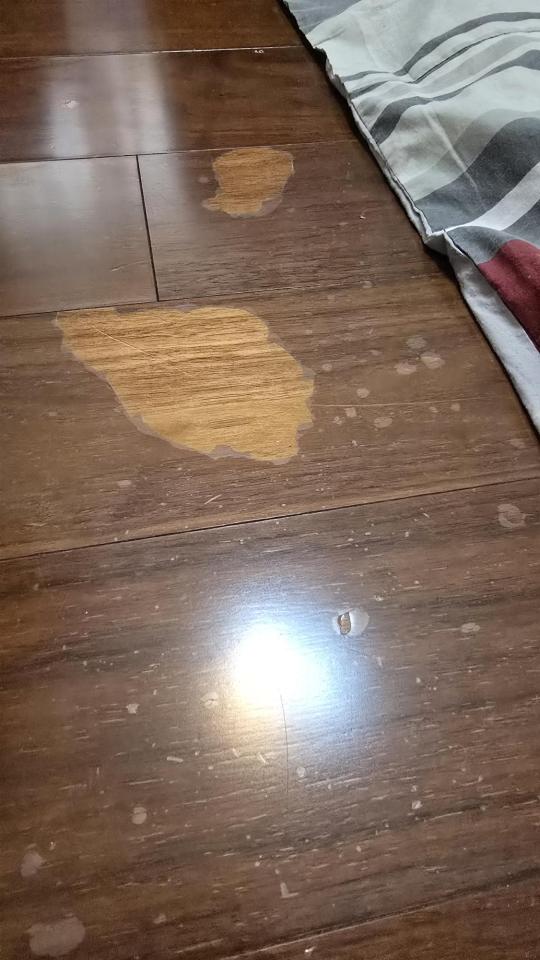木地板打磨翻新案件圖片 木地板打磨翻新案件圖片