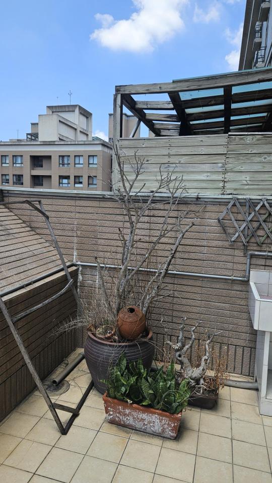 園藝維護案件圖片 園藝維護案件圖片