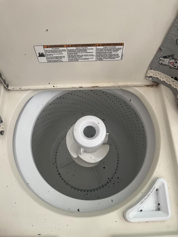 洗衣機清洗案件圖片