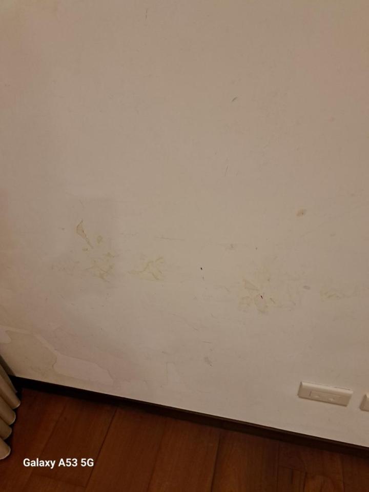油漆工程案件圖片