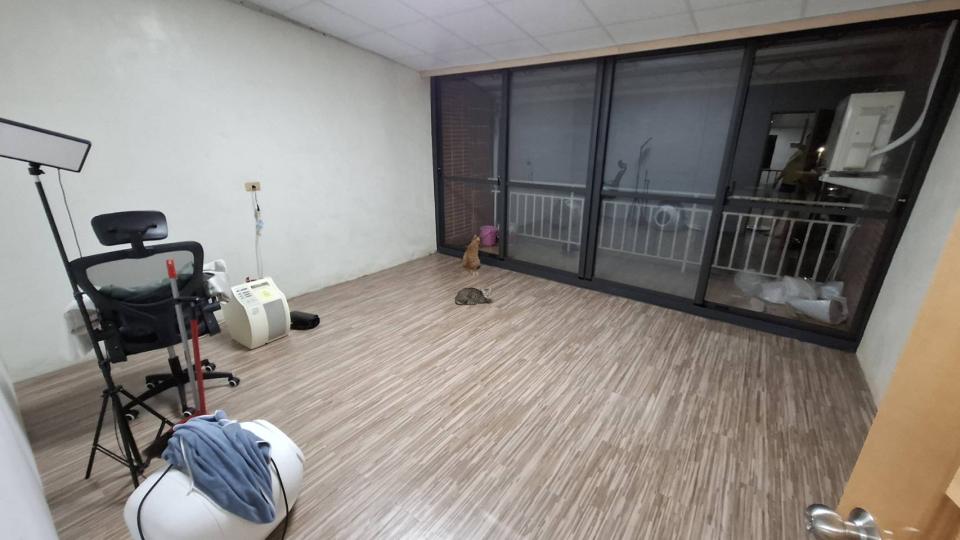 壁紙施工案件圖片