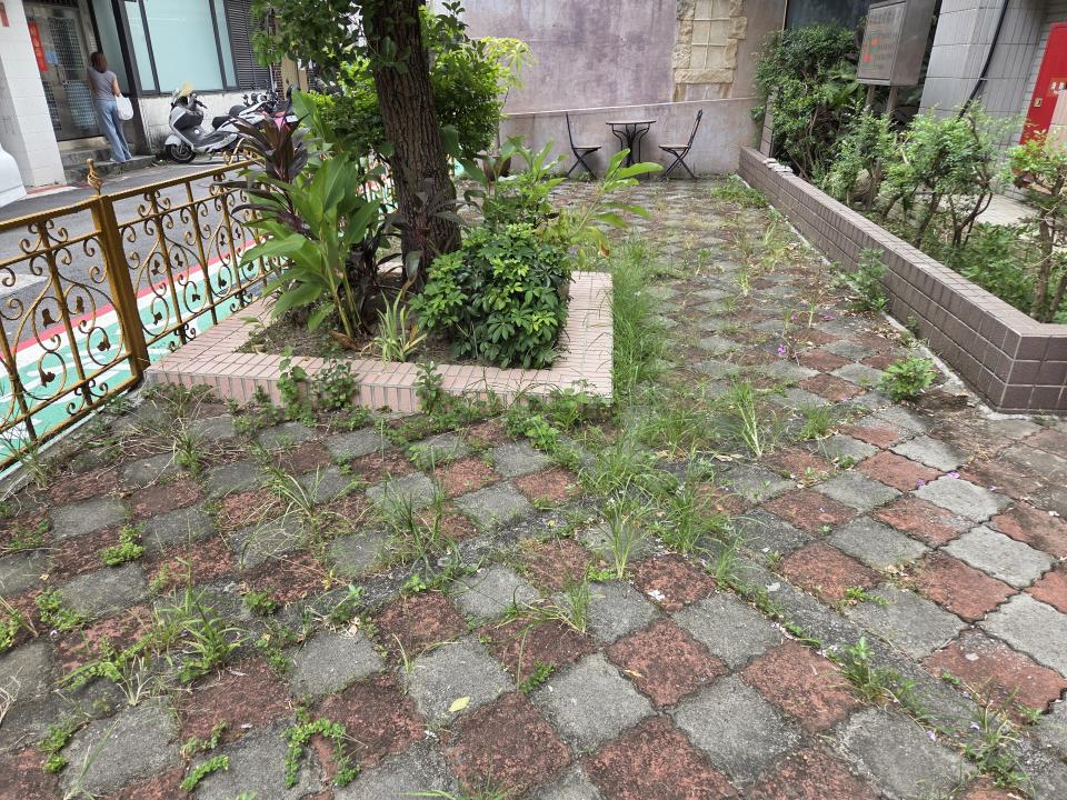 園藝維護案件圖片