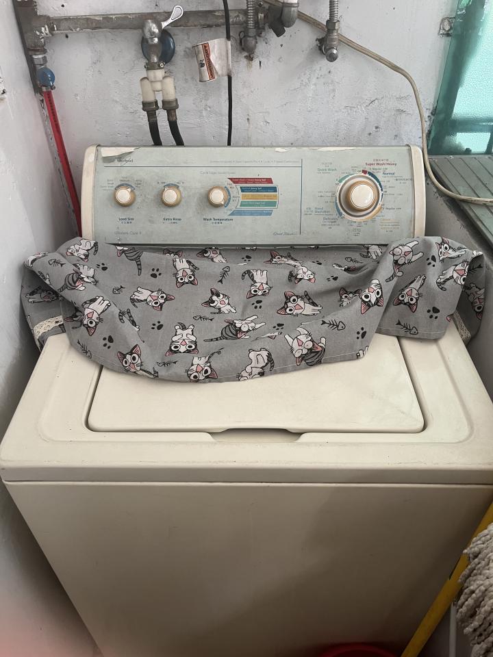 洗衣機清洗案件圖片