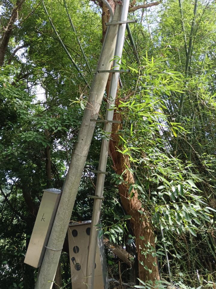 鐵工案件圖片