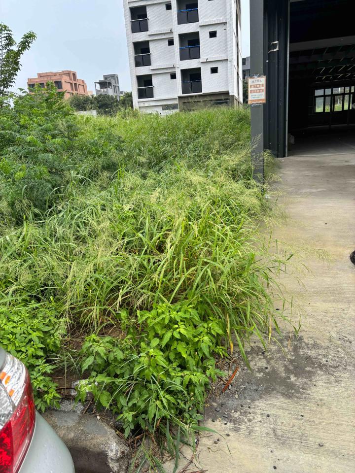 園藝維護案件圖片 園藝維護案件圖片