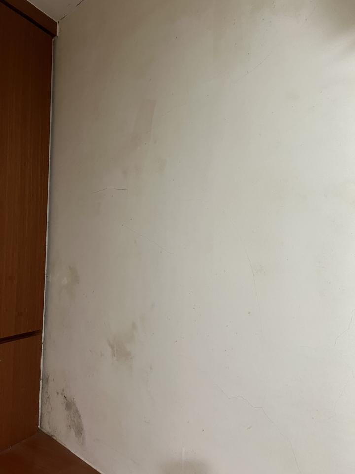 油漆工程案件圖片