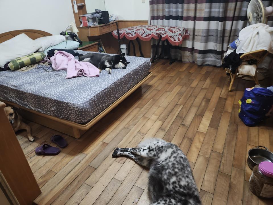 地板維修案件圖片 地板維修案件圖片