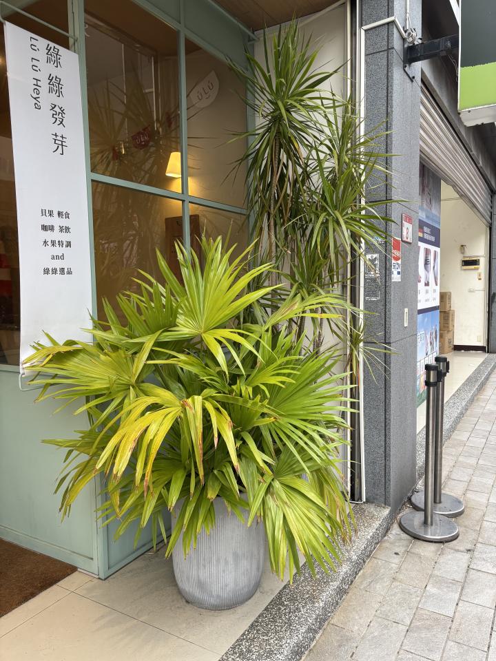 園藝維護案件圖片 園藝維護案件圖片