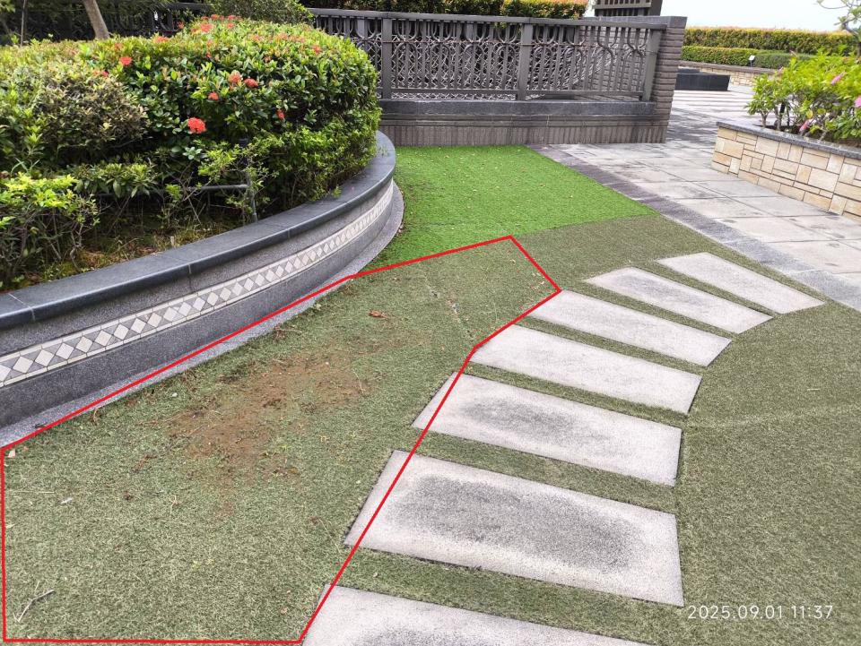 園藝維護案件圖片