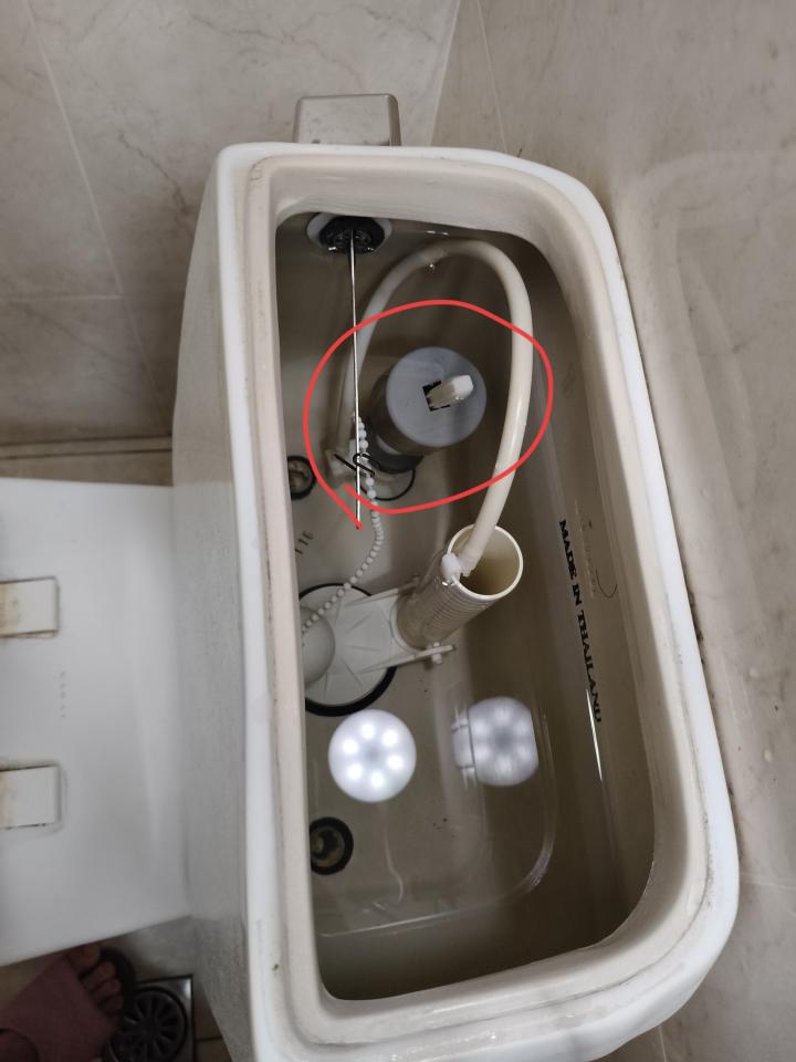 馬桶裝修案件圖片