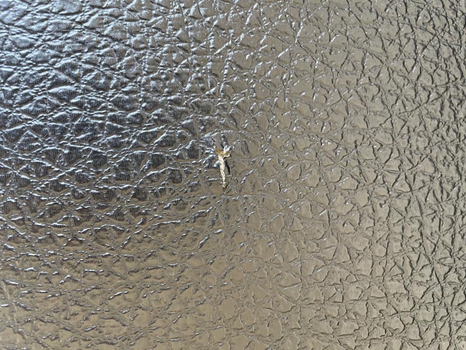 沙發修理案件圖片