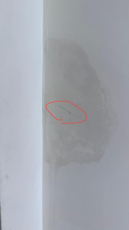 抓漏案件圖片