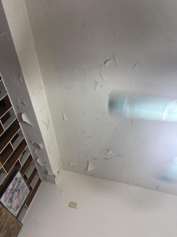 油漆工程案件圖片