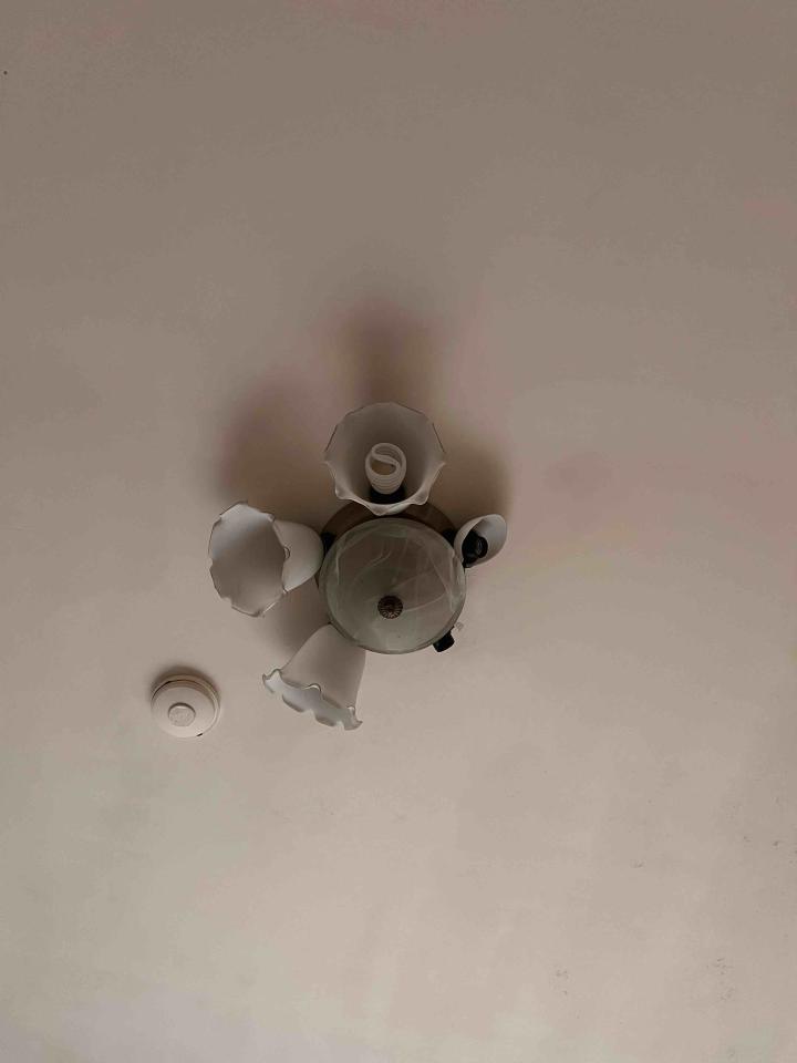 燈具安裝案件圖片