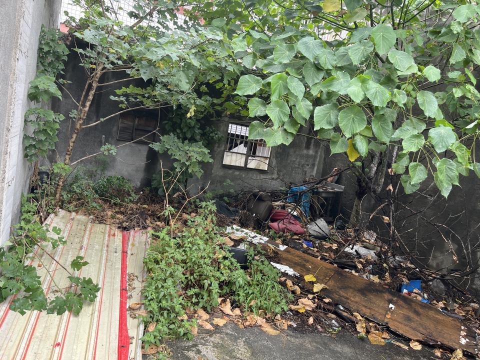 園藝維護案件圖片 園藝維護案件圖片