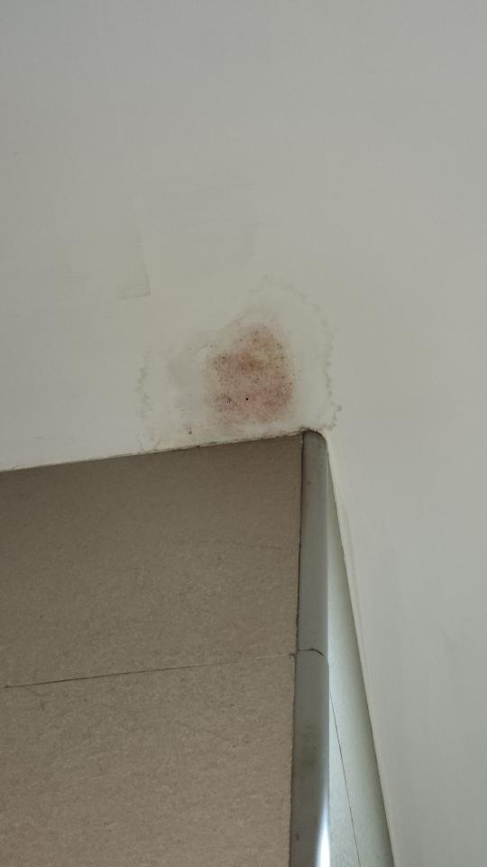 抓漏案件圖片