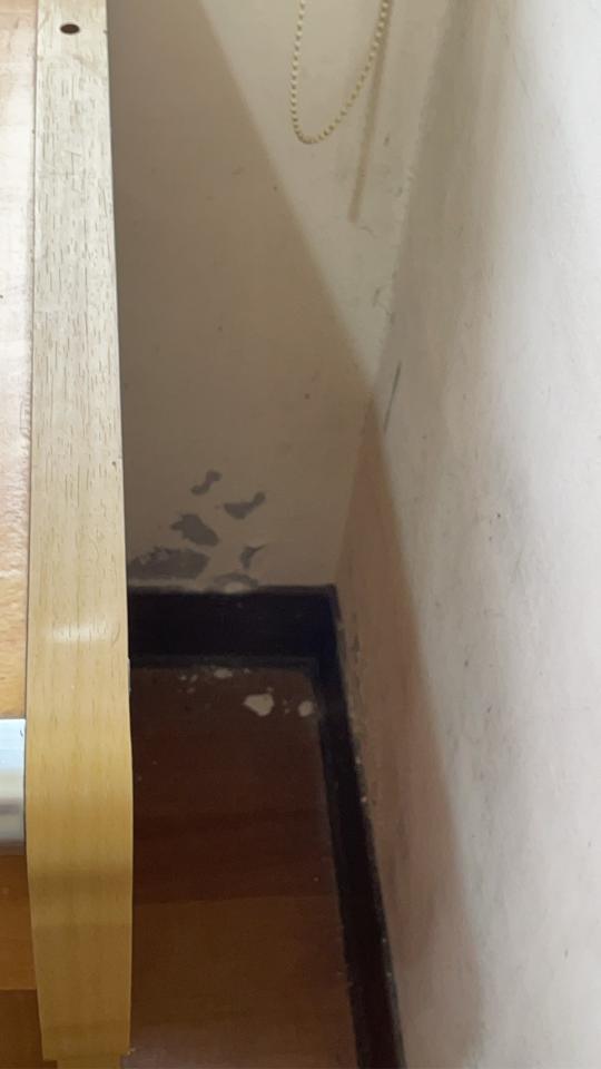 油漆工程案件圖片 油漆工程案件圖片