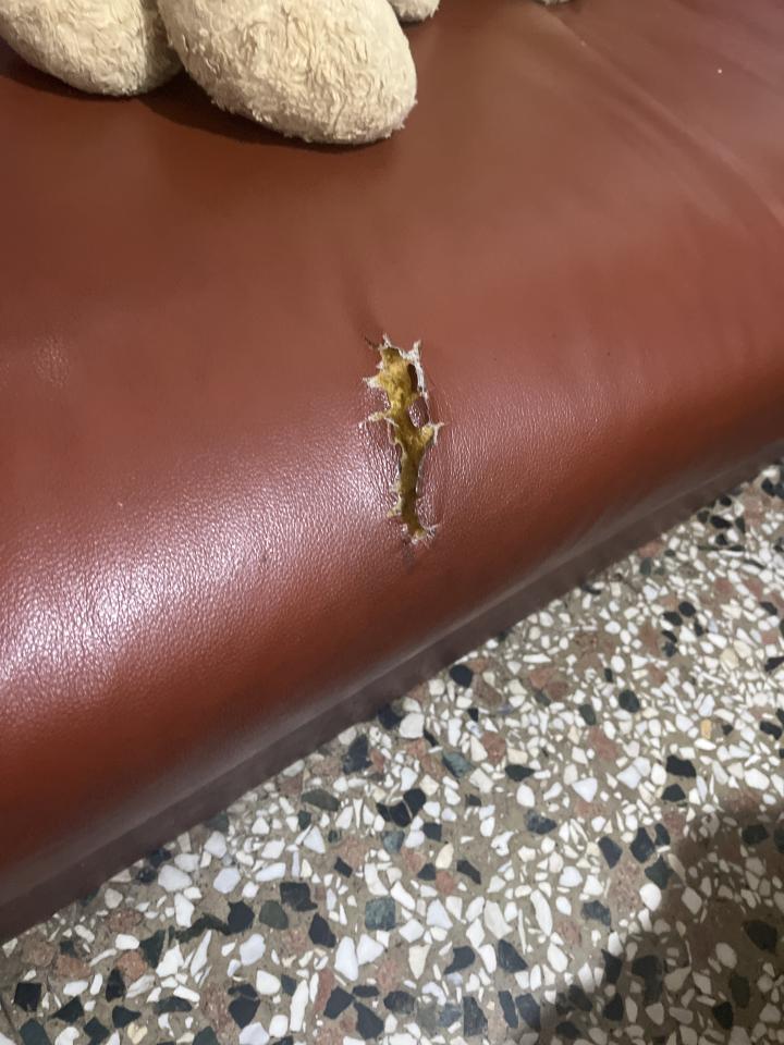 沙發修理案件圖片