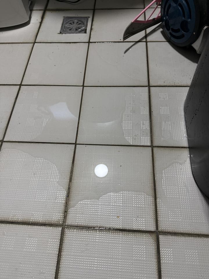 抓漏案件圖片 抓漏案件圖片