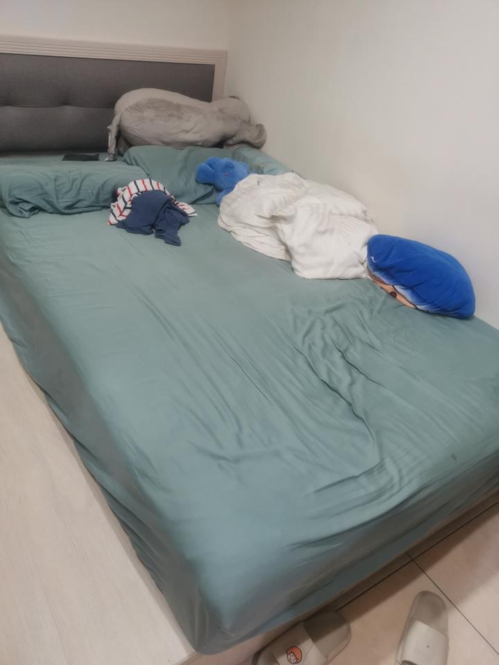大型垃圾回收案件圖片