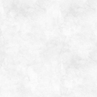 提供250服務的專家Citrus