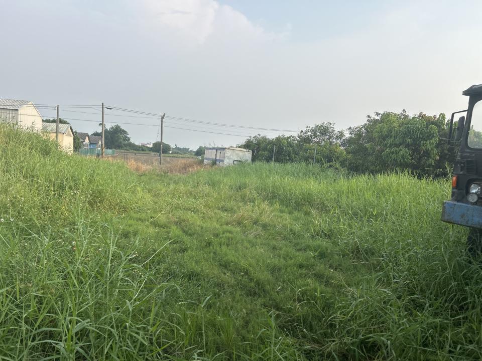 園藝維護案件圖片