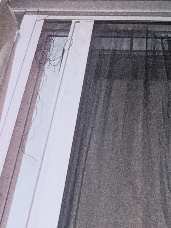 紗窗裝修案件圖片