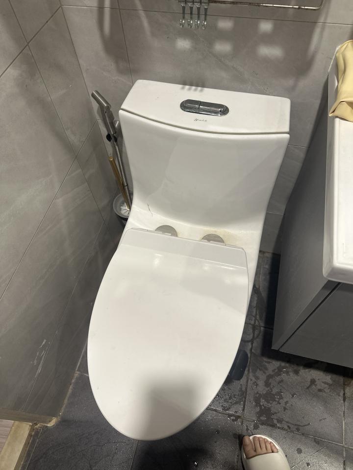 馬桶裝修案件圖片