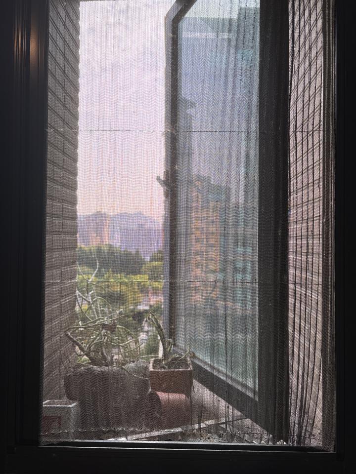 紗窗裝修案件圖片