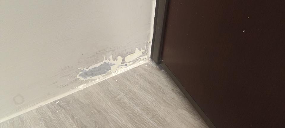 壁癌處理案件圖片