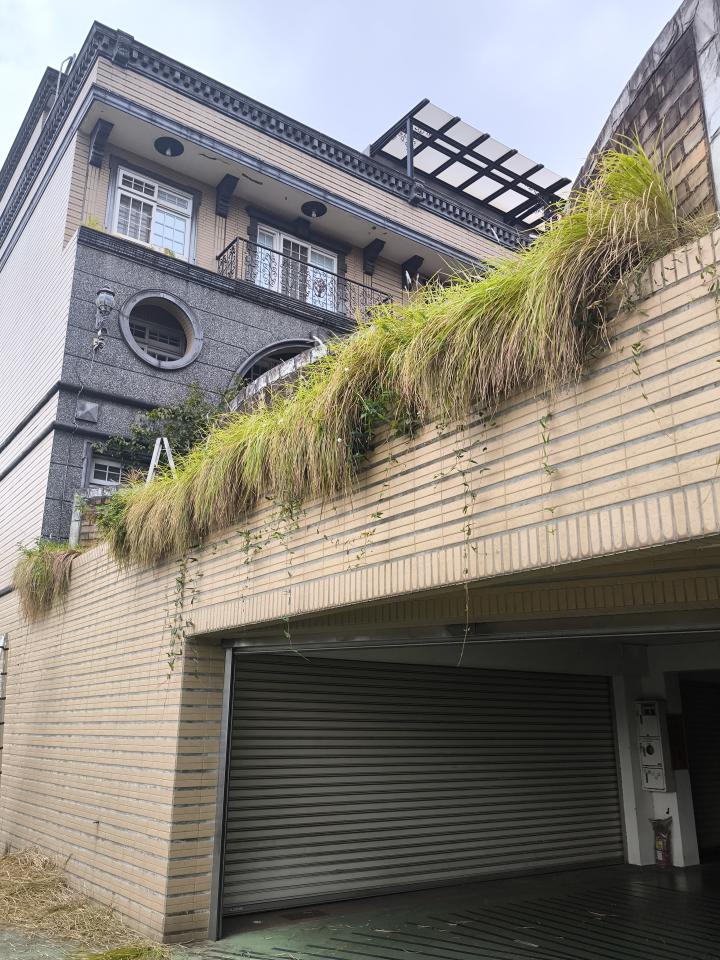 園藝維護案件圖片