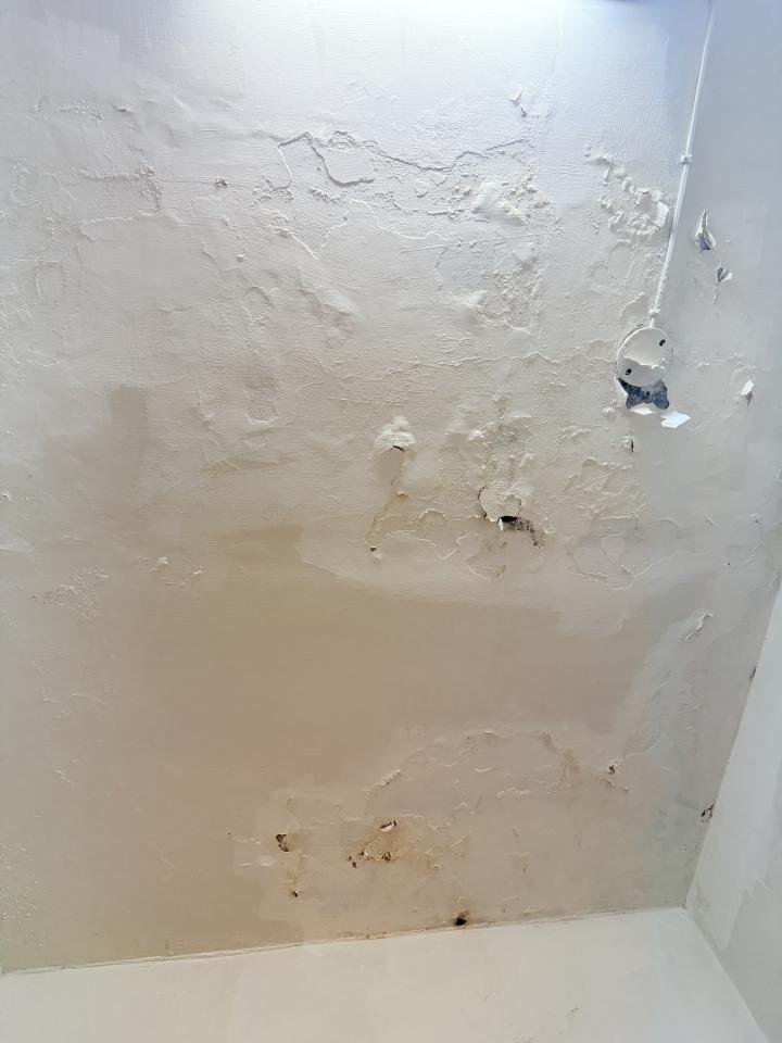 油漆工程案件圖片 油漆工程案件圖片