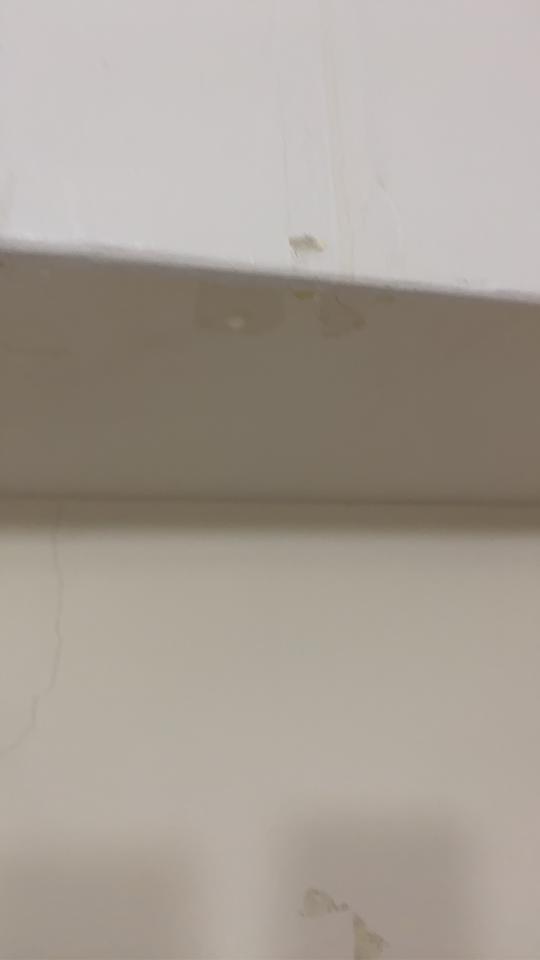 抓漏案件圖片