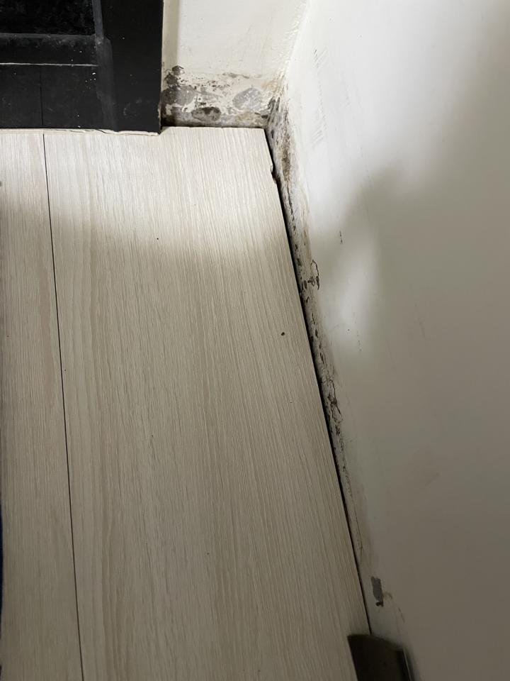 地板維修案件圖片