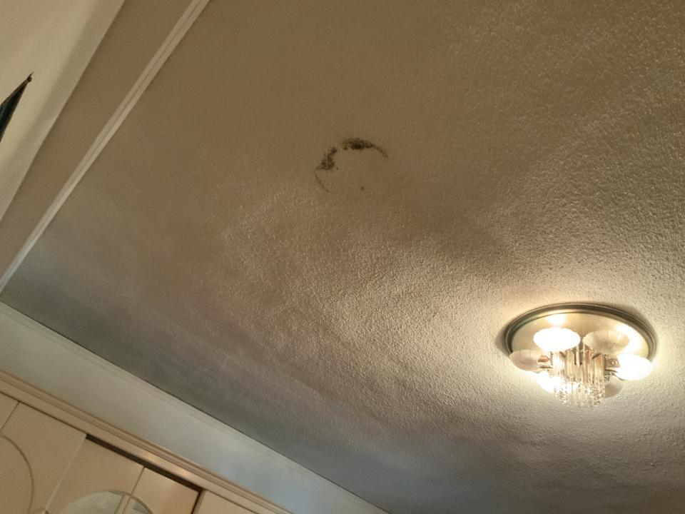 除霉案件圖片
