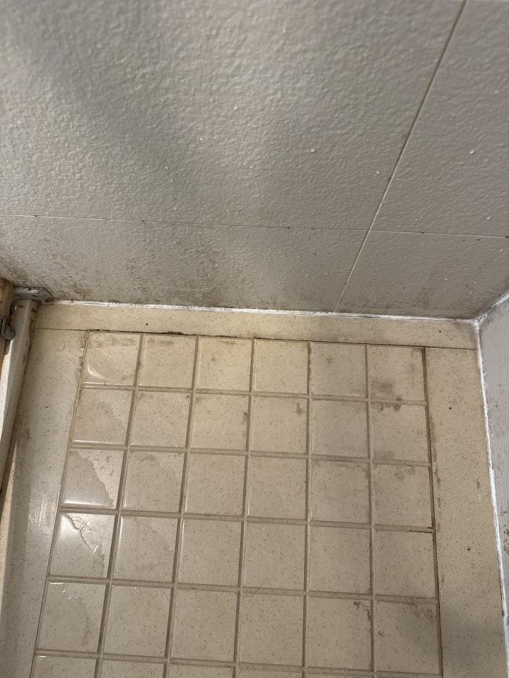 除霉案件圖片
