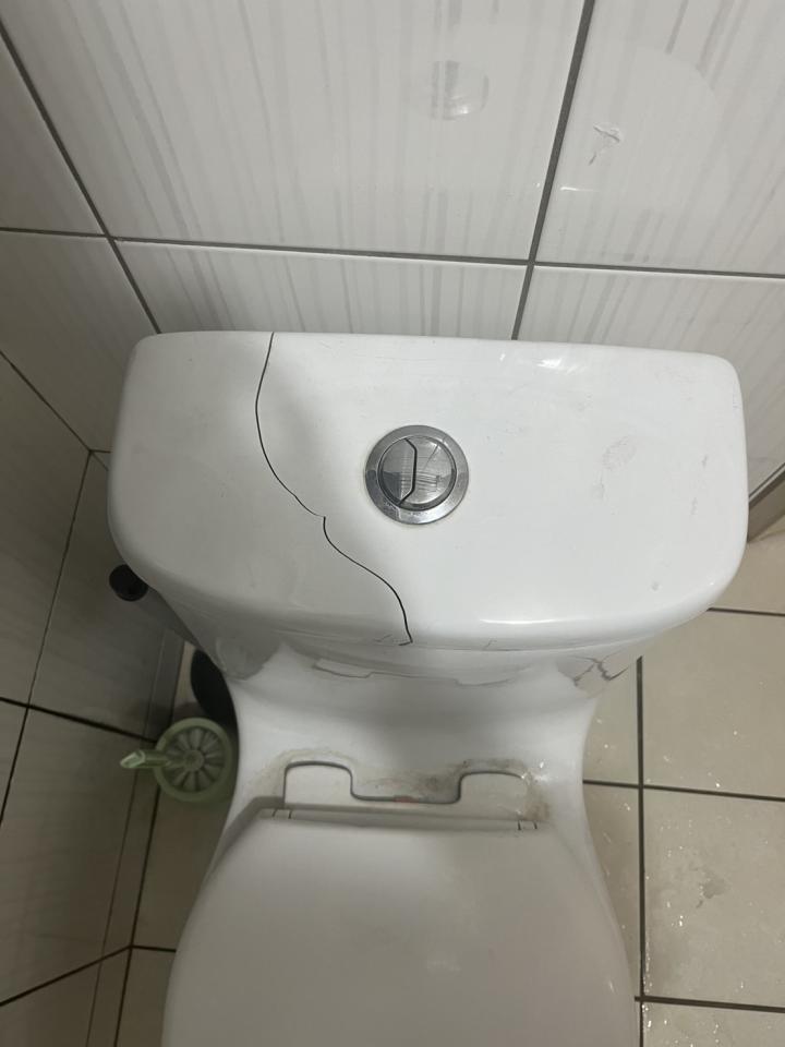 馬桶裝修案件圖片
