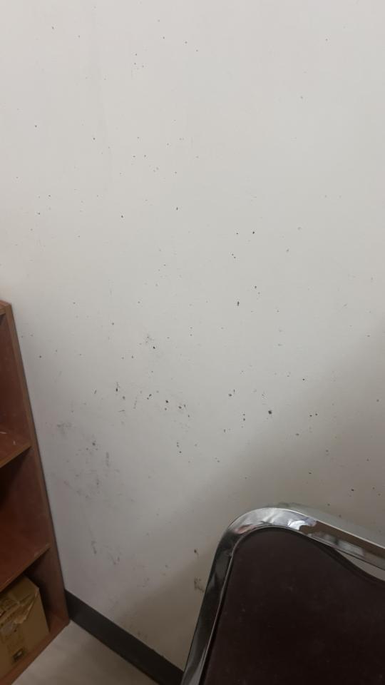 浴室除霉清潔案件圖片