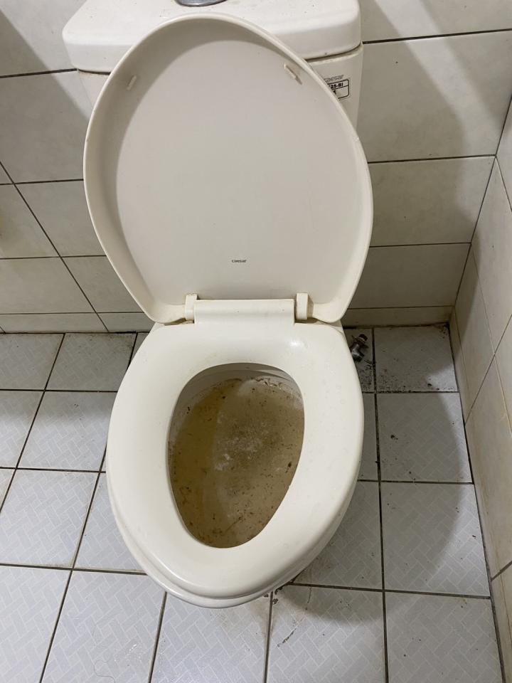 馬桶裝修案件圖片