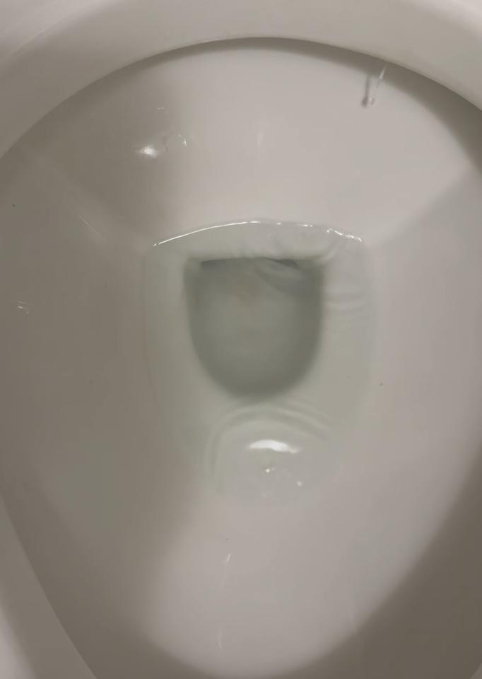馬桶裝修案件圖片